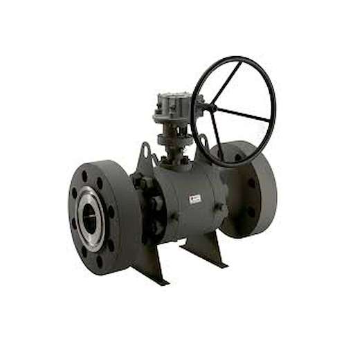 شیرالات اروپایی ترینیون